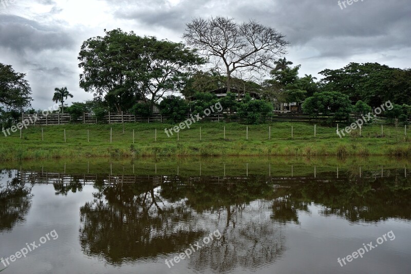 Farm Pond Reflection Water Sky