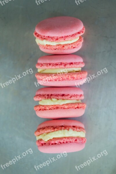 Macarons Dessert French Cuisine Sweets Gourmet