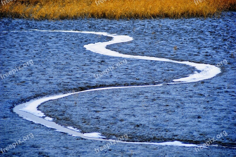 Sponge Pearl Plenty Of Water Nature Suncheon Bay Free Photos