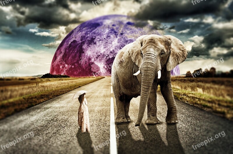 Surreal Girl Elephant Fantasy Background