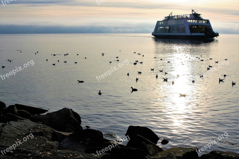 Ferry Lake Morning Sun Peace Of Mind Birds