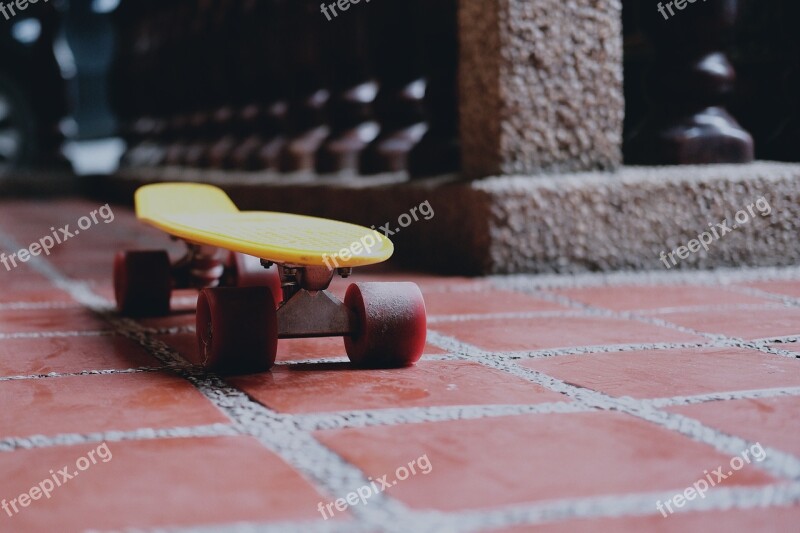 Skateboard Skate Hobby Skateboarder Board