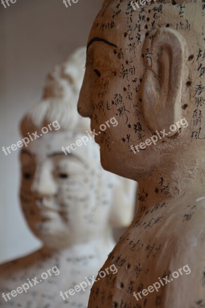 Acupuncture Tcm Chinese Medicine Therapy Healing