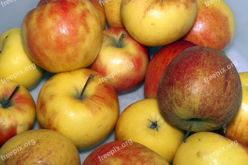 Apple Fruit Pome Fruit Culture Of Apple Malus