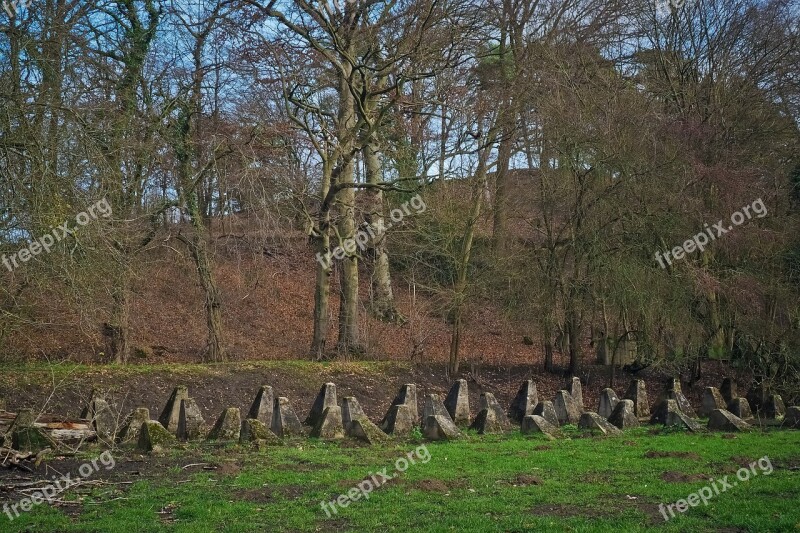 Forest Away Nature Forest Path Trees