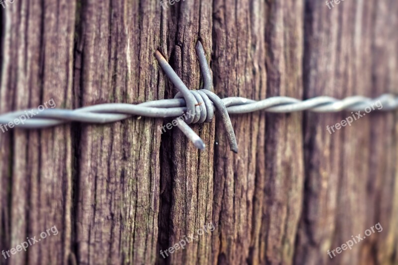 Barbed Wire Wood Fence Nature Wire