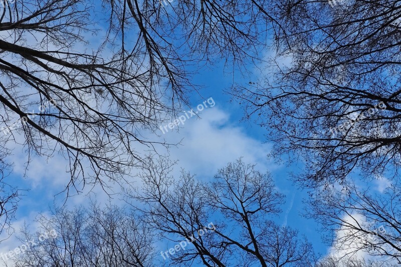 Sky Trees Nature Landscape Clouds