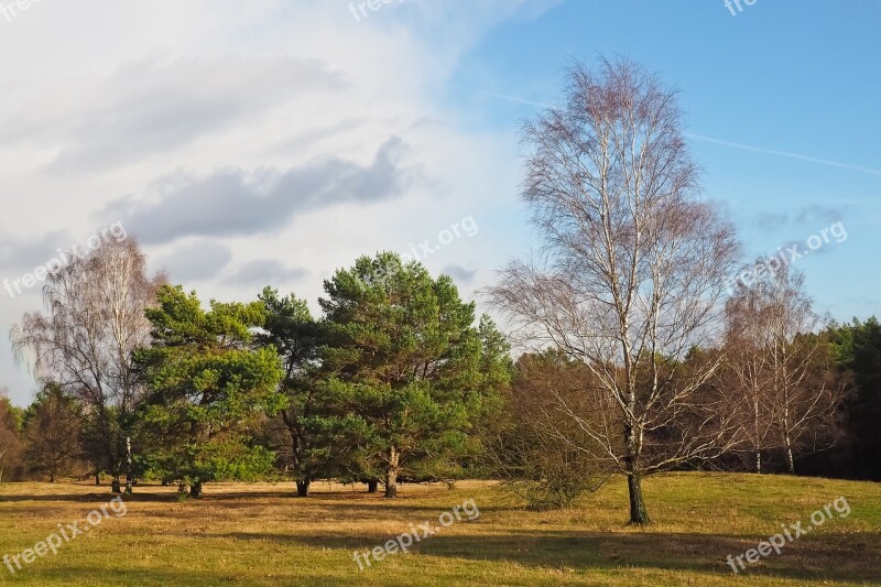 Landscape Trees Nature Clouds Scenic