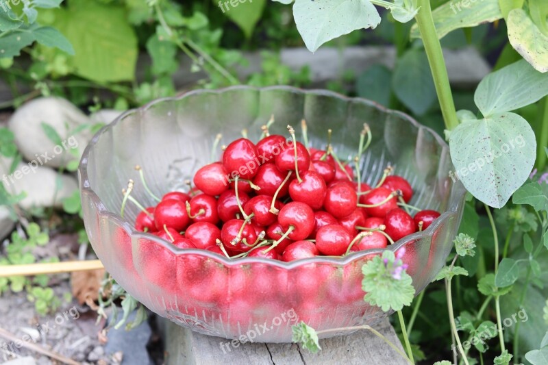 Cherries Goodness Heart Health Cherry