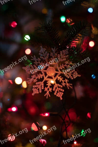 Christmas Christmas Lights Ornaments Christmas Ornaments Holiday