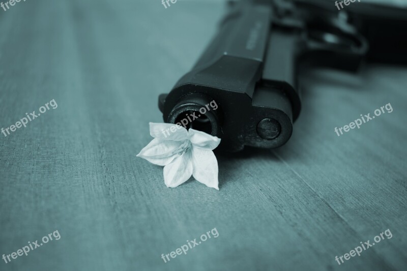 Harmony Peace Pistol War Free Photos