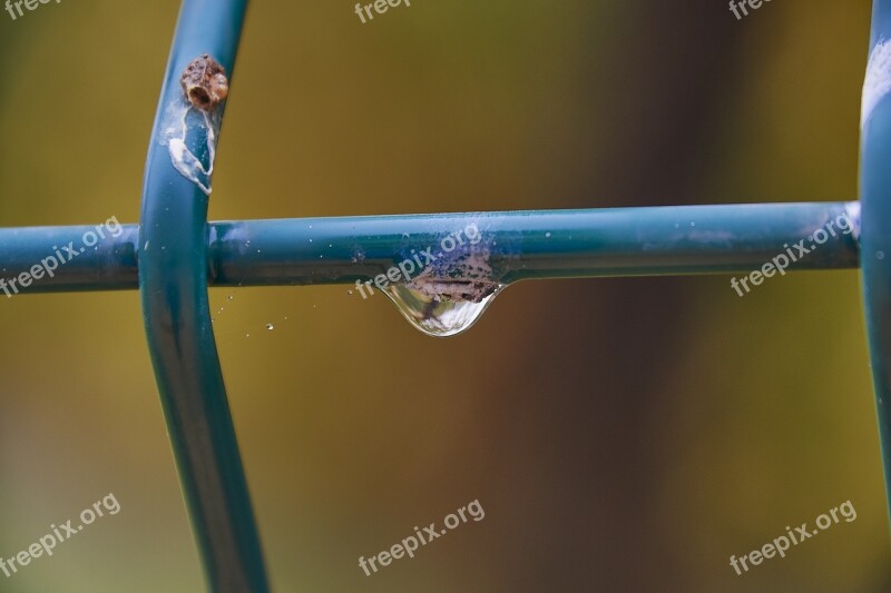 Moisture Drops Of Water Drops Nature Climate