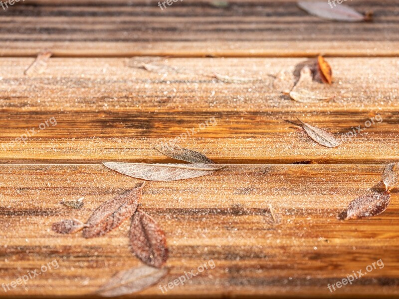 Table Top Frost Autumn Background Hoarfrost