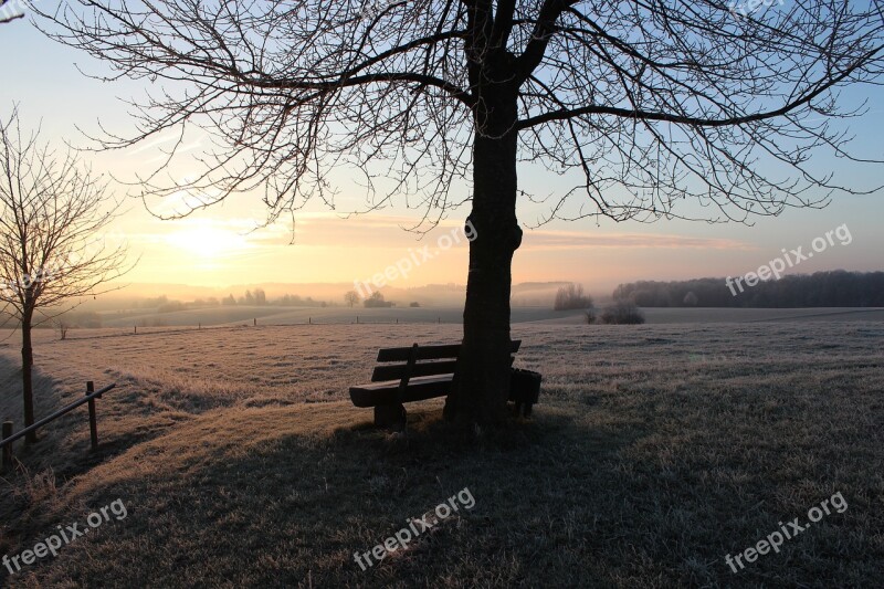 Hoarfrost Winter Cold Nature Frost