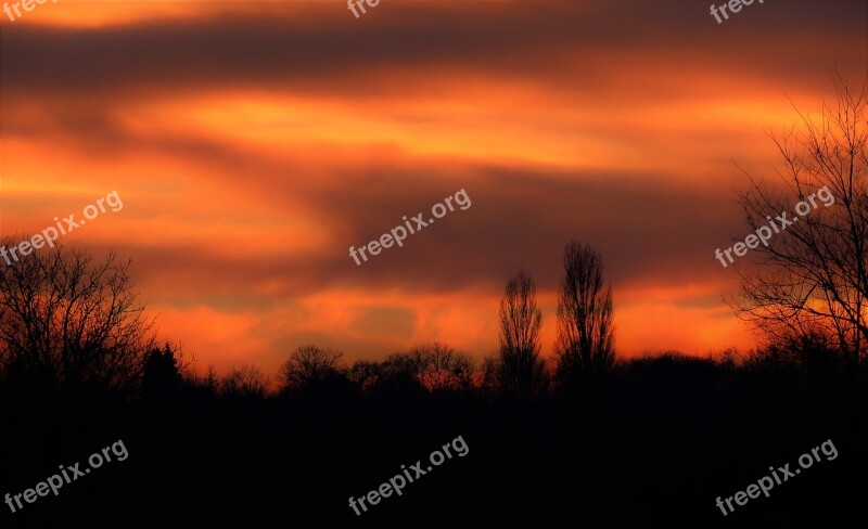 Landscape Sunset Red Sky Trees Free Photos