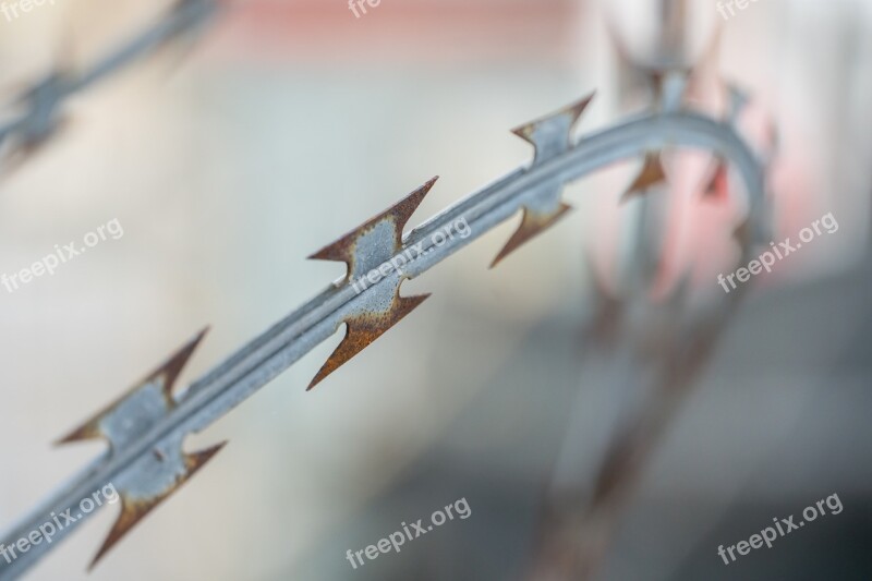 Natodraht Barbed Wire Fence Secure Razor Wire