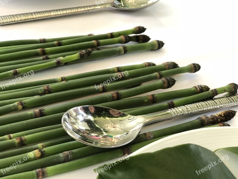 Dining Exotic Bamboo Wedding Table Setting