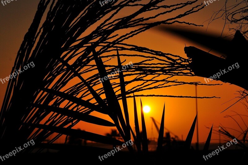 Golden Sunset Beautiful Sunset Landscape Sun Sky