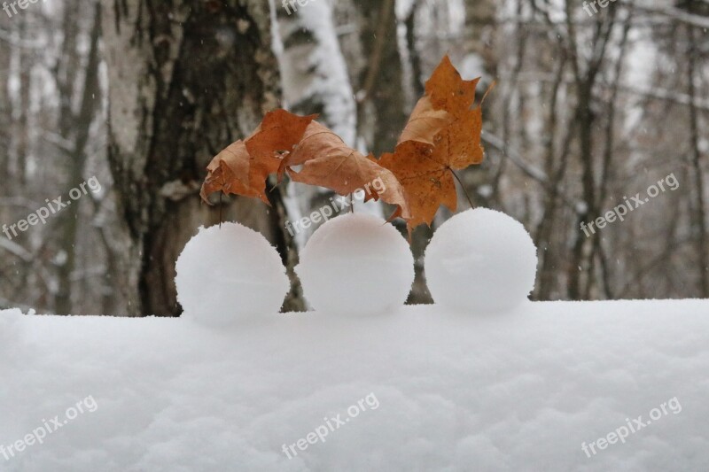 Winter Snow Frost Cold Snowballs