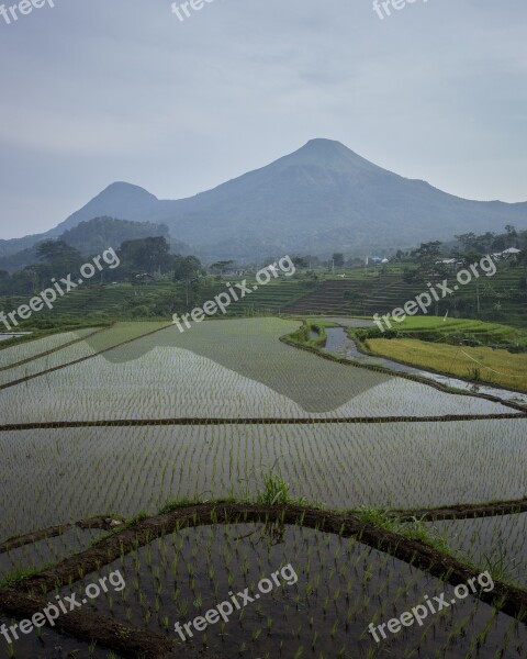 Mount Field View Travel Nature