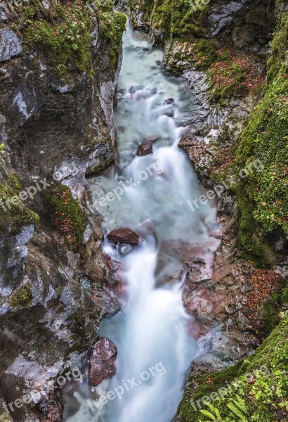 Marx Gorge Magic Forest Bach Clammy River