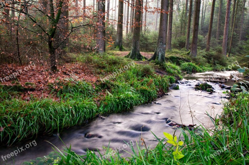 Teutoburg Forest Silver Valley Landscape Forest Nature