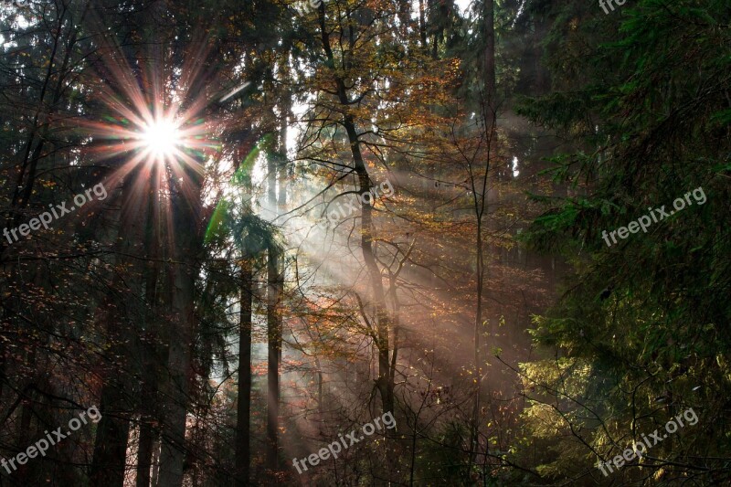 Teutoburg Forest Silver Valley Landscape Forest Trees