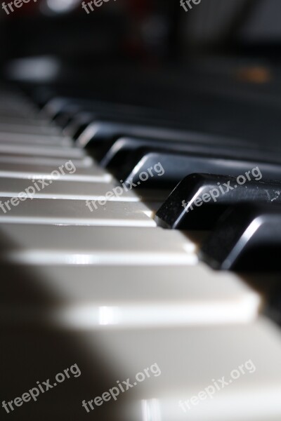 Piano Keyboard Music Musical Instrument Music Instrument