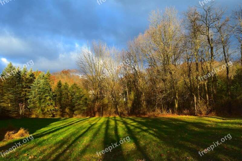 Sunrise Daylight Shadows Trees Nature