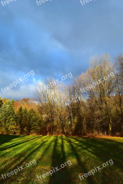 Sunrise Daylight Shadows Trees Nature