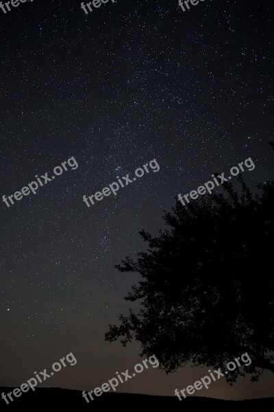 Milky Way Star Summer Night Tree Astro