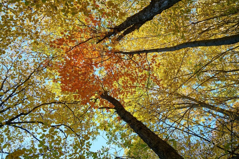 Autumn Season Landscape Nature Beautiful