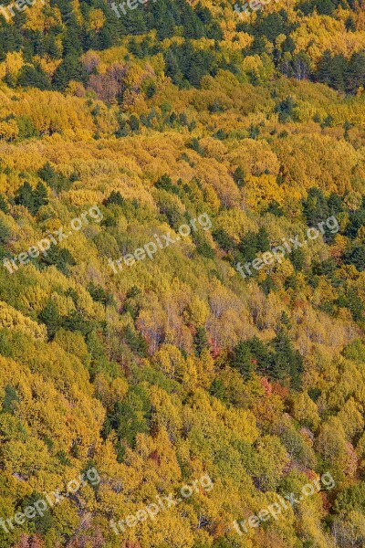 Autumn Season Landscape Nature Beautiful