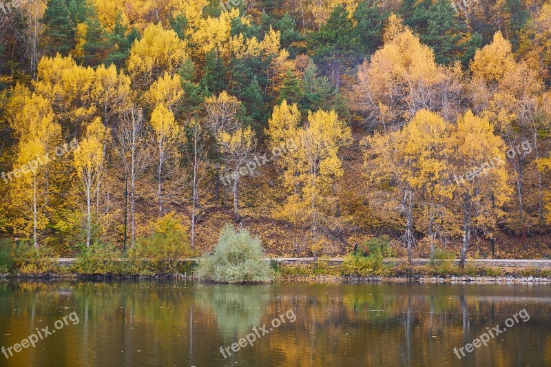 Autumn Season Landscape Nature Beautiful