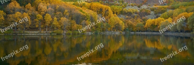 Autumn Season Landscape Nature Beautiful