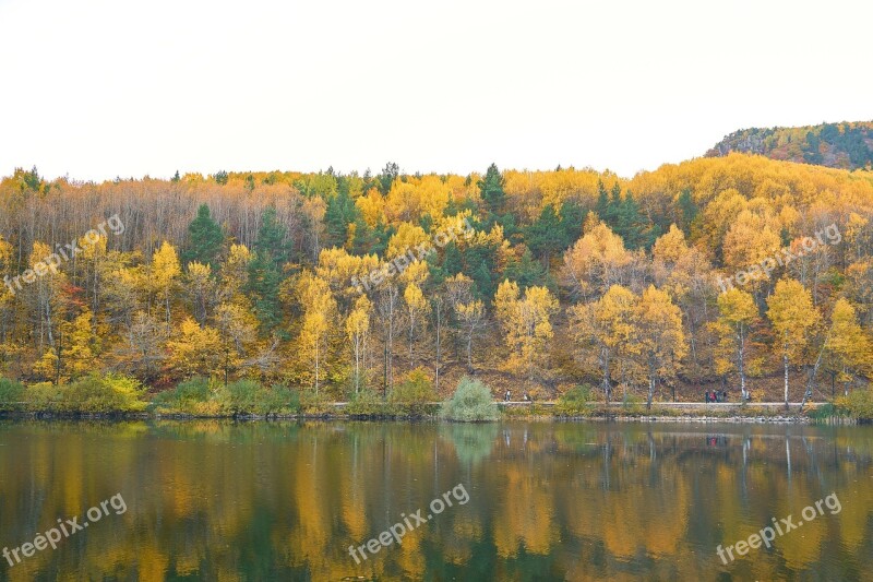 Autumn Season Landscape Nature Beautiful