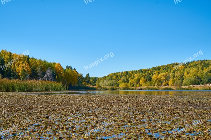 Autumn Season Landscape Nature Beautiful