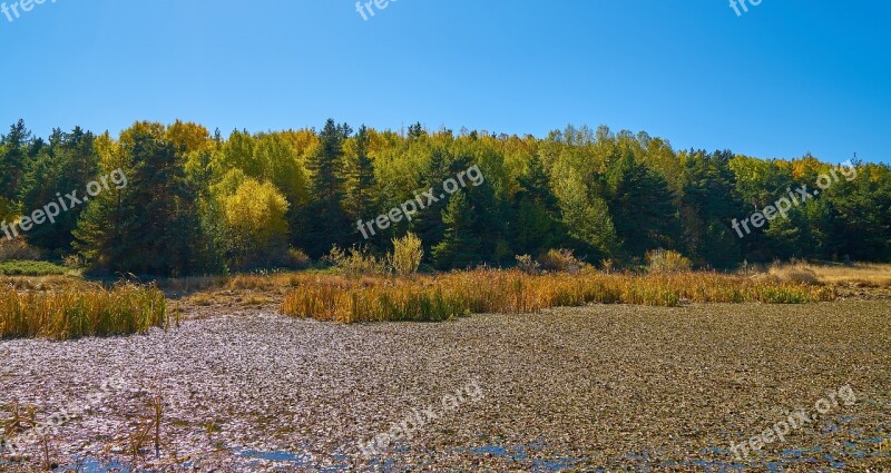 Autumn Season Landscape Nature Beautiful