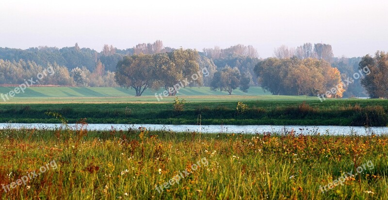 River Meadows Water Forest Grass