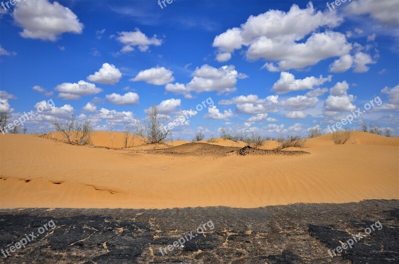 Uzbekistan Desert Kyzylkum Sand Nature Free Photos