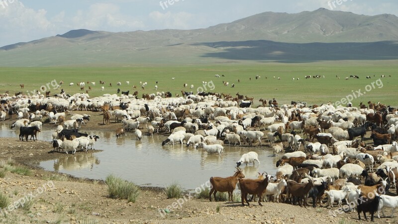 Mongolia Yangttae Nomadic Free Photos