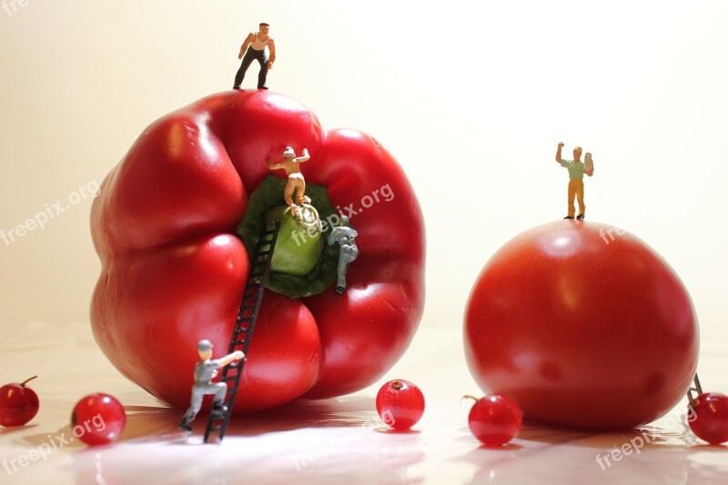 Paprika Tomato Miniature Figures Currant Food