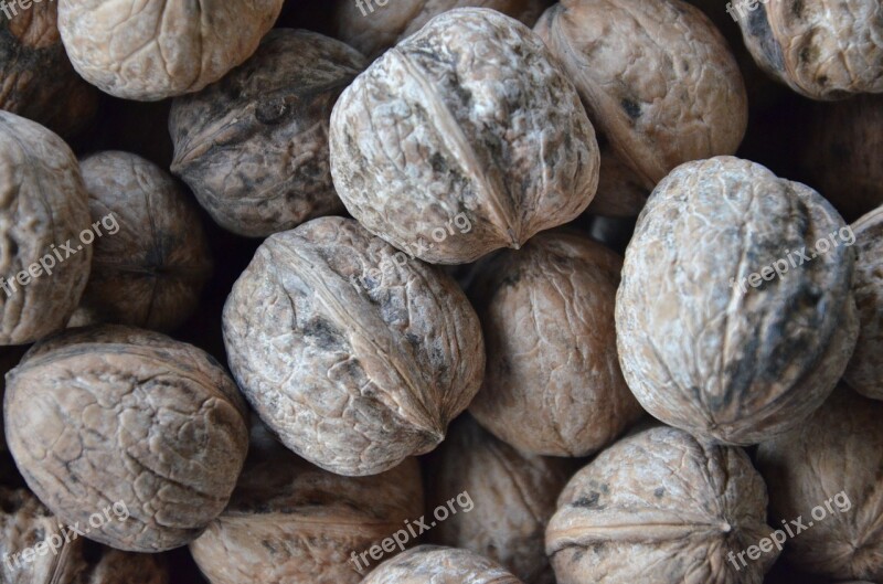 Fruit Secca Walnuts Free Photos