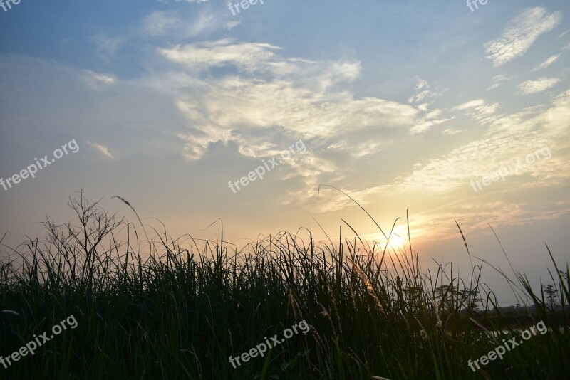 Sunset Dusk Clouds Grass Reeds