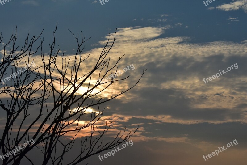 Sunset Dusk Clouds Dry Tree Sundown