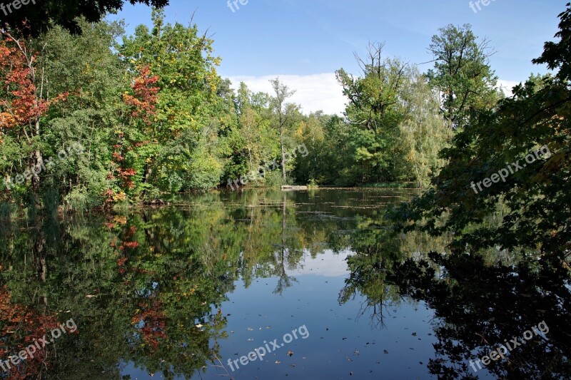 Lake Forest Pond Water Tree