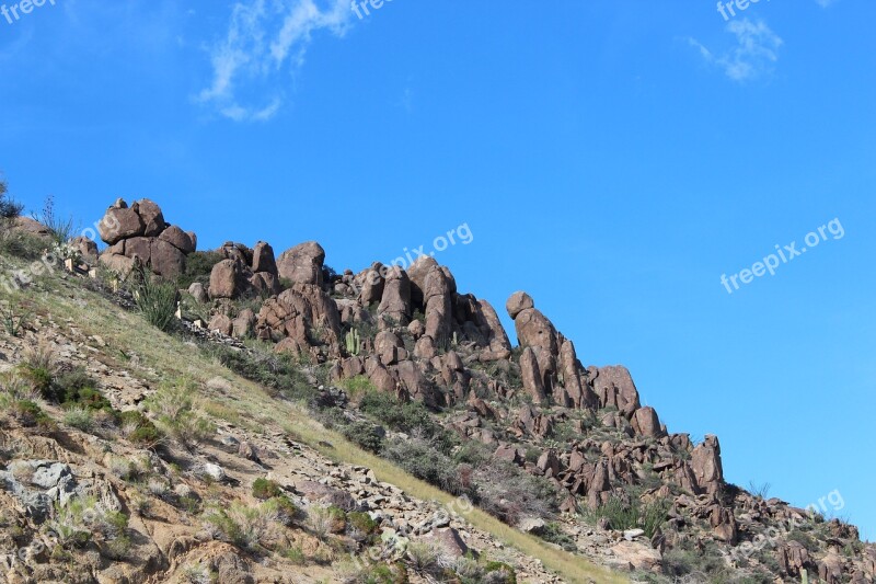 Mogollon Rim Desert Arizona Southwest Saguaro