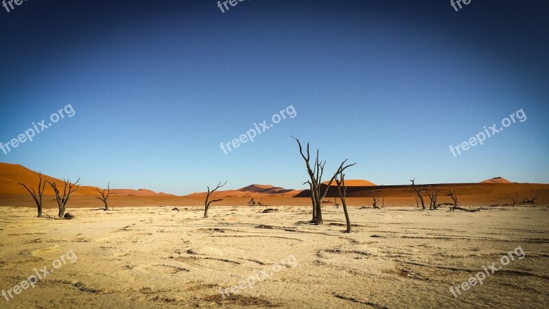 Namibia Wildlife Africa Landscape Safari