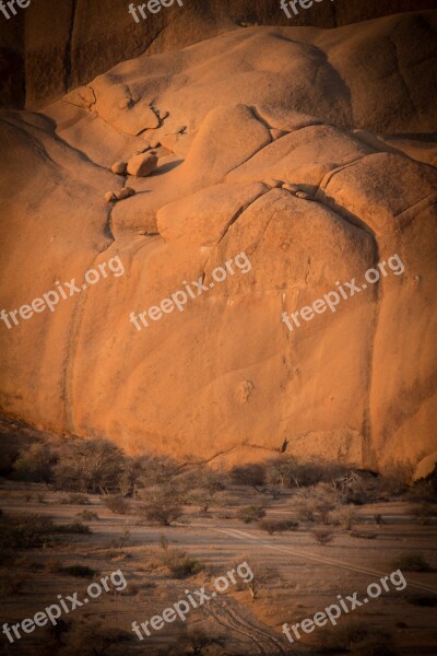 Namibia Wildlife Africa Landscape Safari