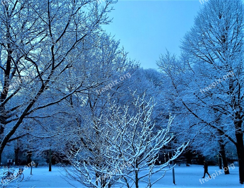 Winter Snow Tree Landscapes Snow Landscape